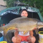 perfect carp from france